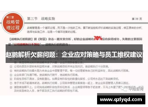赵鹏解析欠薪问题：企业应对策略与员工维权建议